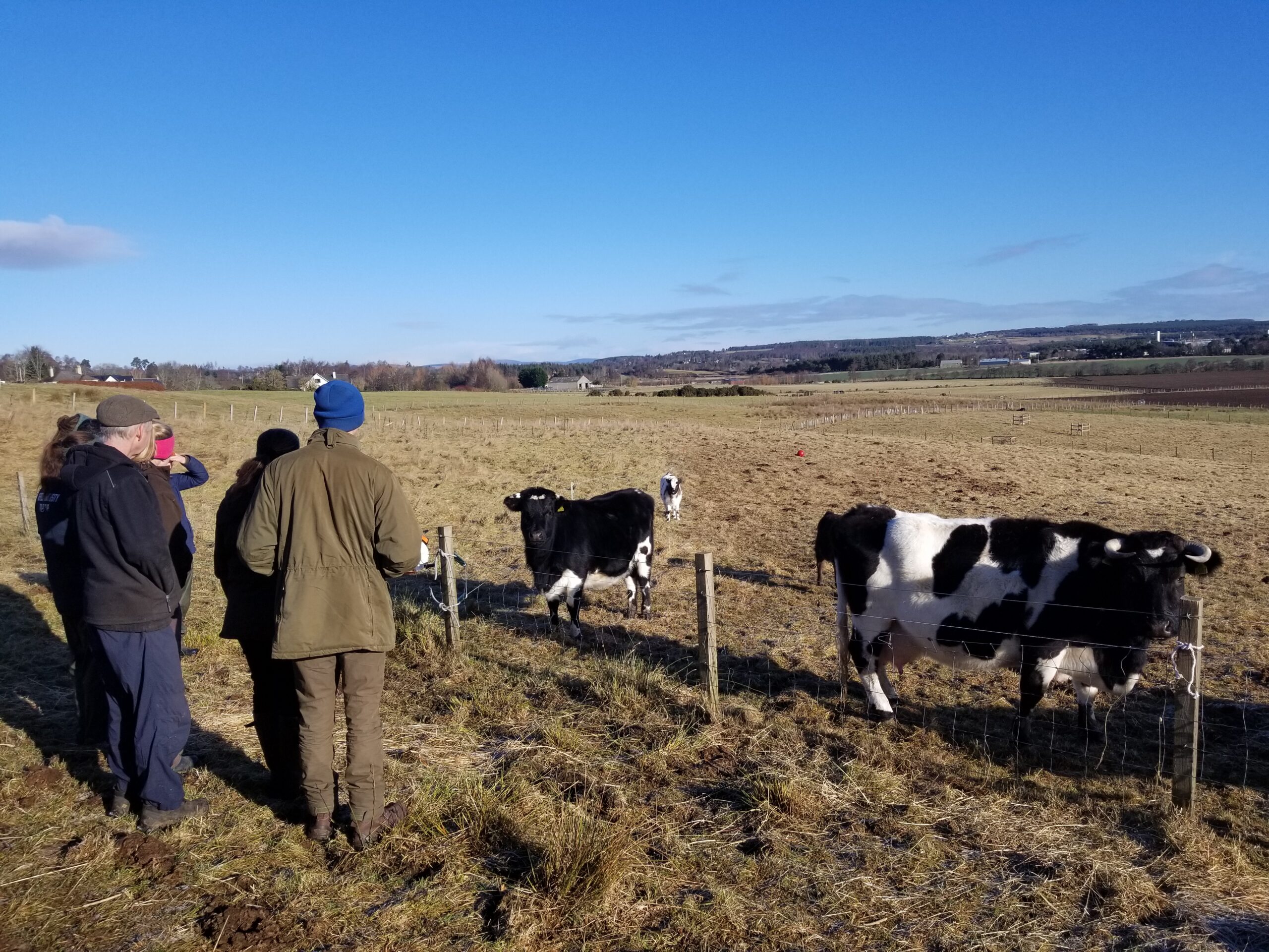 Sunshine, Shetlands and Shared Knowledge