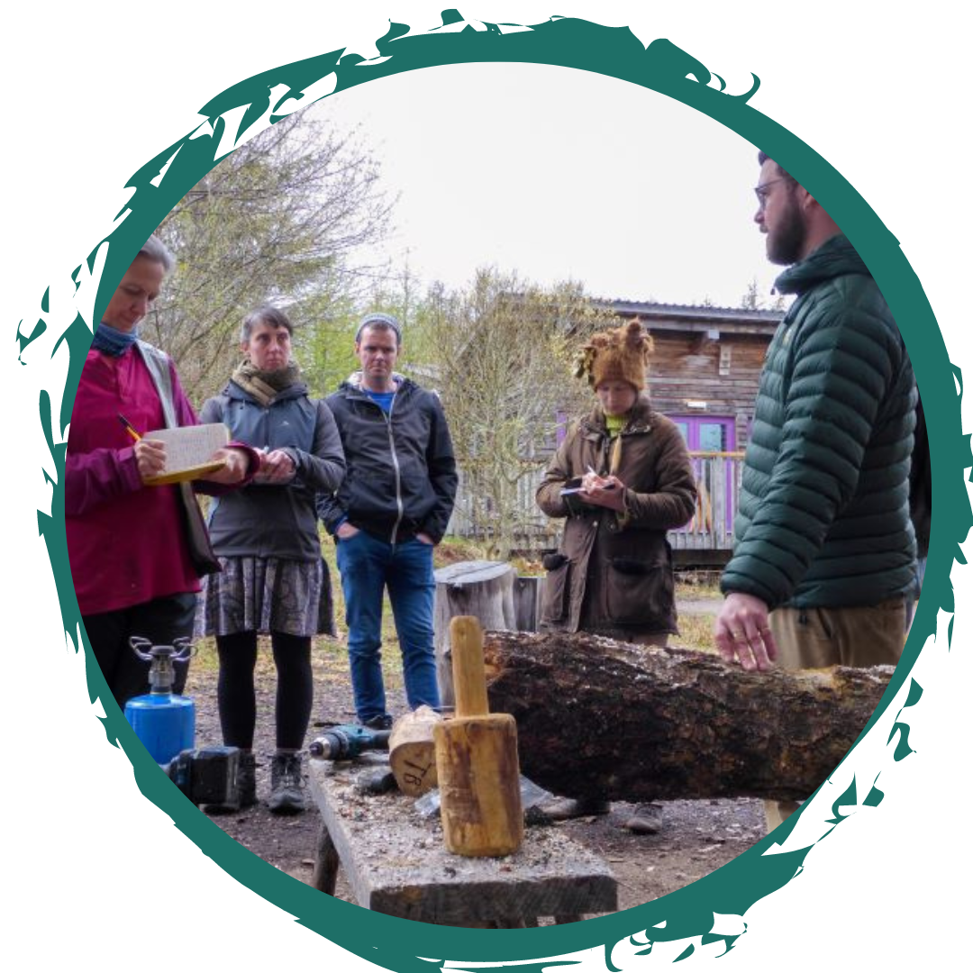 Growing Mushrooms in gardens and woodlands