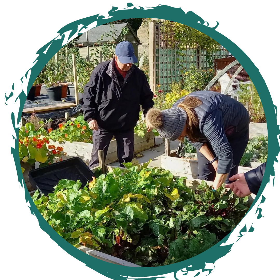 Community Gardening for Wellbeing